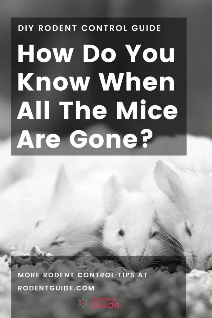 How do you now when all the mice are gone