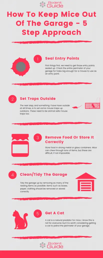How To Keep Mice Out Of The Garage - 5 Step Approach Infographic