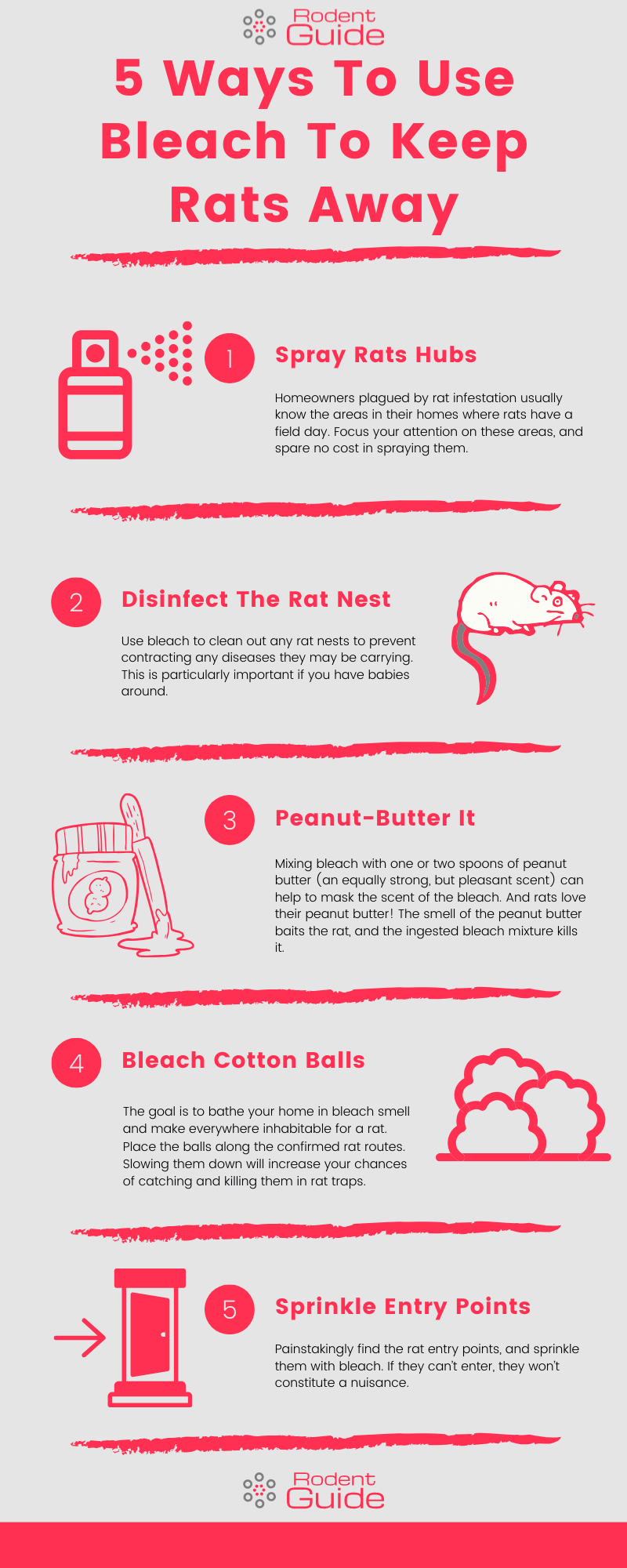 5 Ways To Use Bleach To Keep Rats Away Infographic