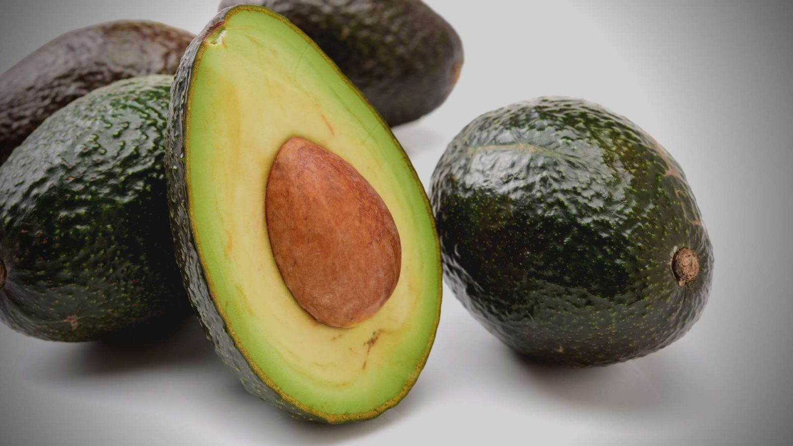 Do Rats Eat Avocados? After All, They Love Fruit Right? DIY Rodent