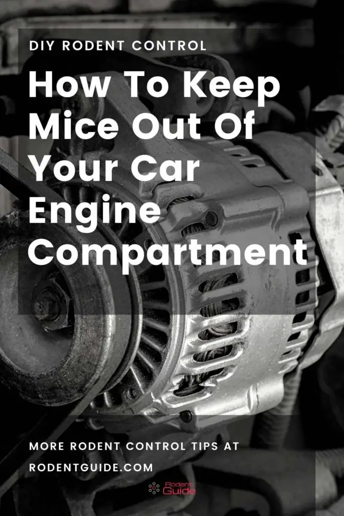 How To Keep Mice Out Of Your Car Engine Compartment