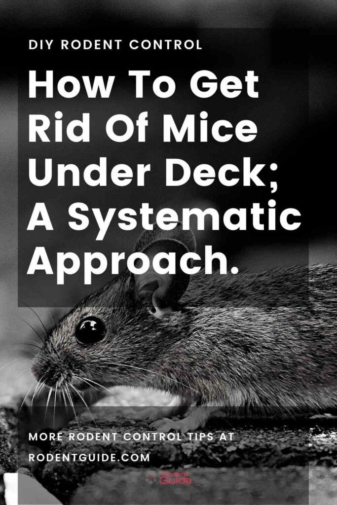 How To Get Rid Of Mice Under Deck; A Systematic Approach.