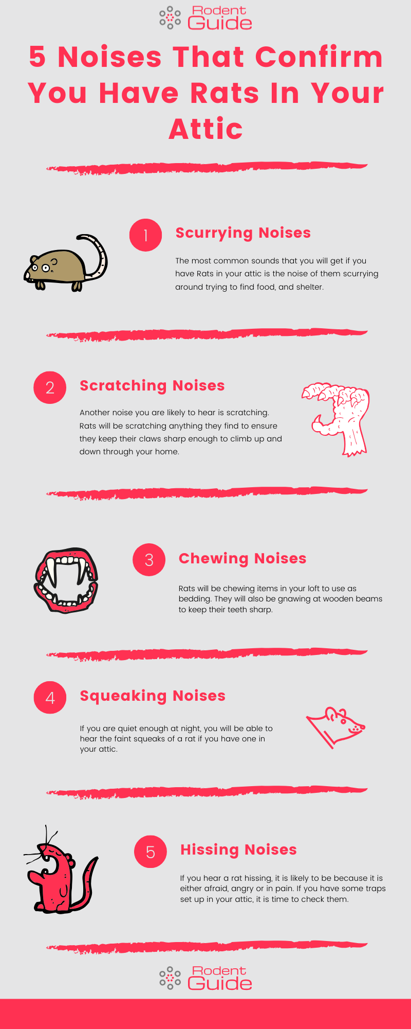 5 Noises That Confirm You Have Rats In Your Attic Infographic