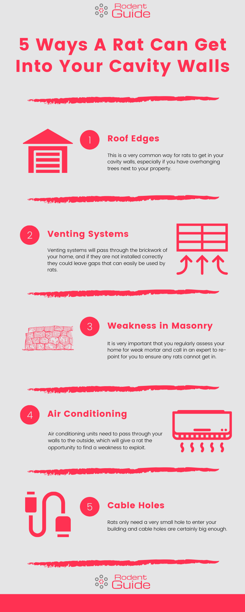 5 Ways A Rat Can Get Into Your Cavity Walls Infographic