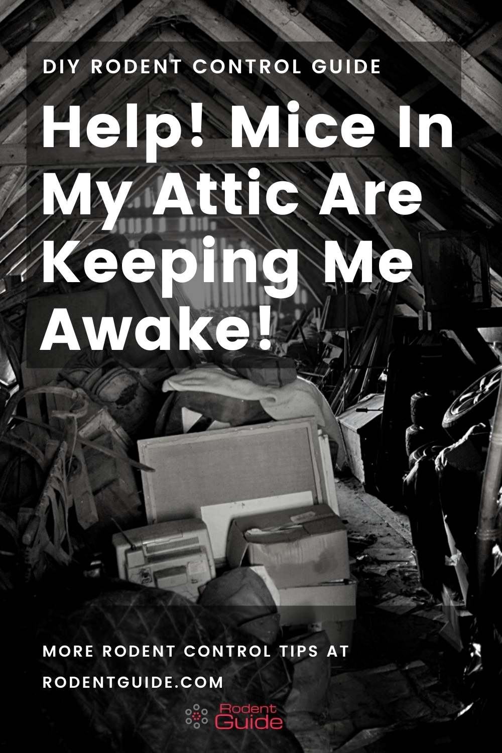 Help! Mice In My Attic Are Keeping Me Awake!That Work!
