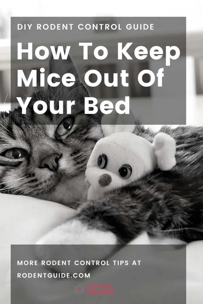 How To Keep Mice Out Of Your Bed (2)