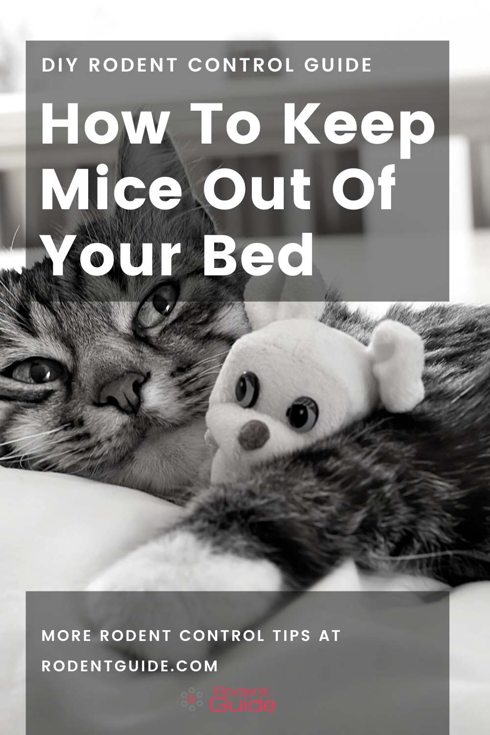 How To Keep Mice Out Of Your Bed (2)