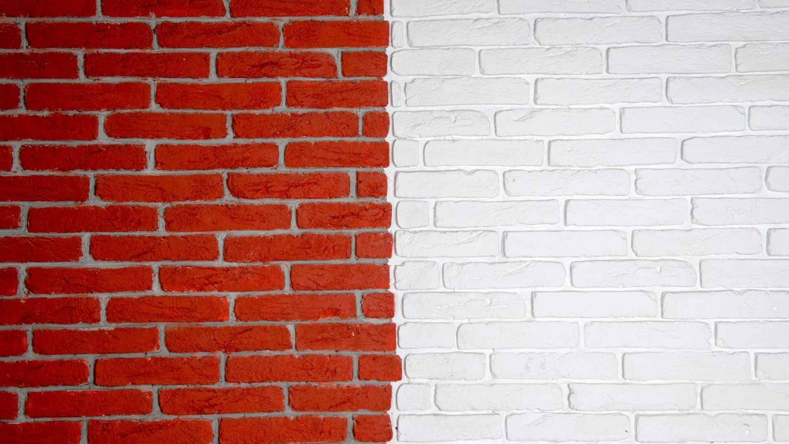 How DID The Rats Get In The Cavity Walls DIY Rodent Control