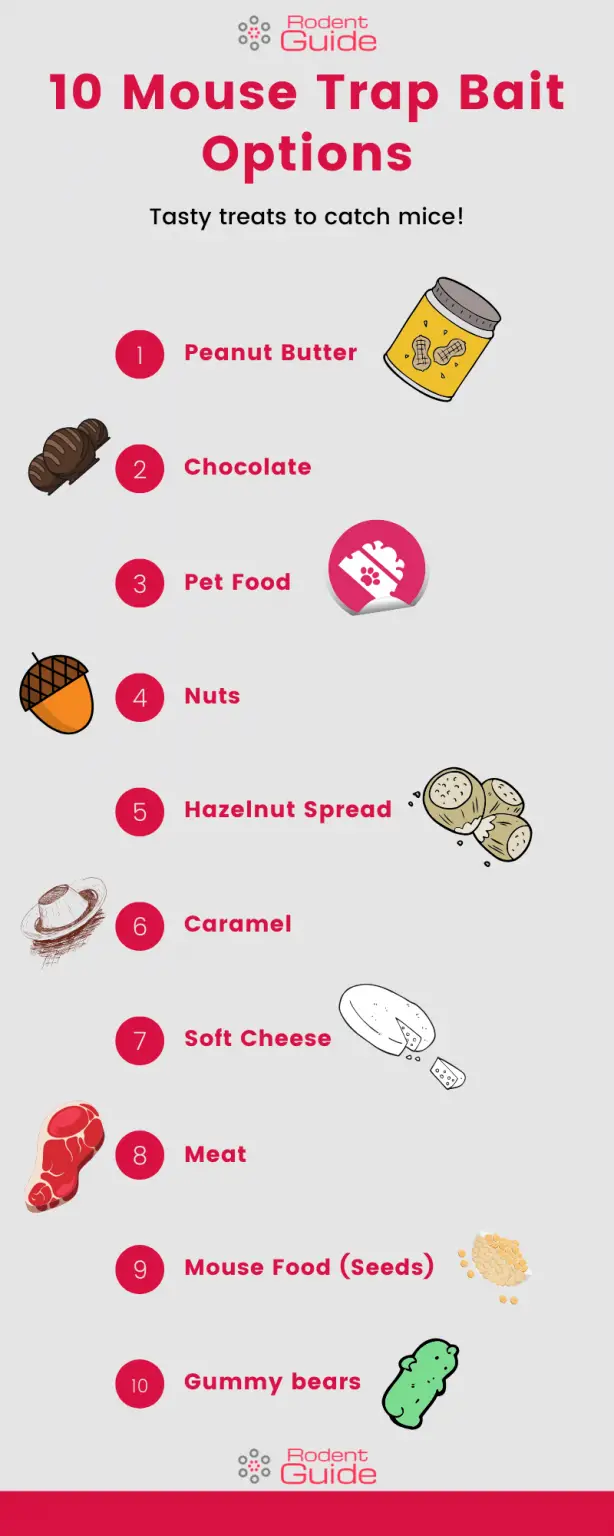 Best Mouse Bait Options 10 Most Successful DIY Rodent Control