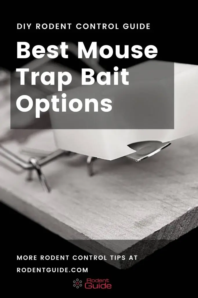 Mouse Trap Bait Options