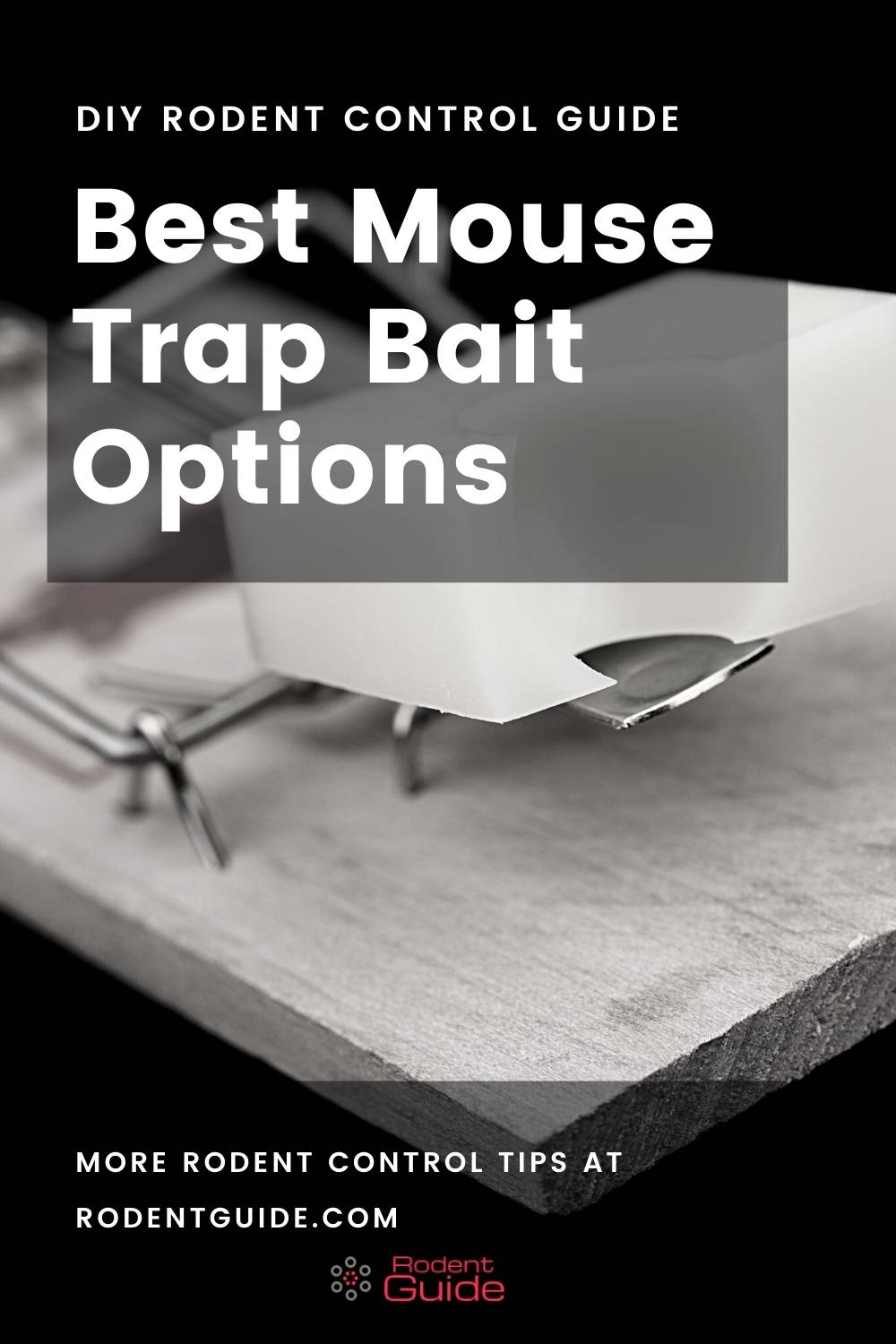 Best Mouse Bait Options - 10 Most Successful - DIY Rodent Control