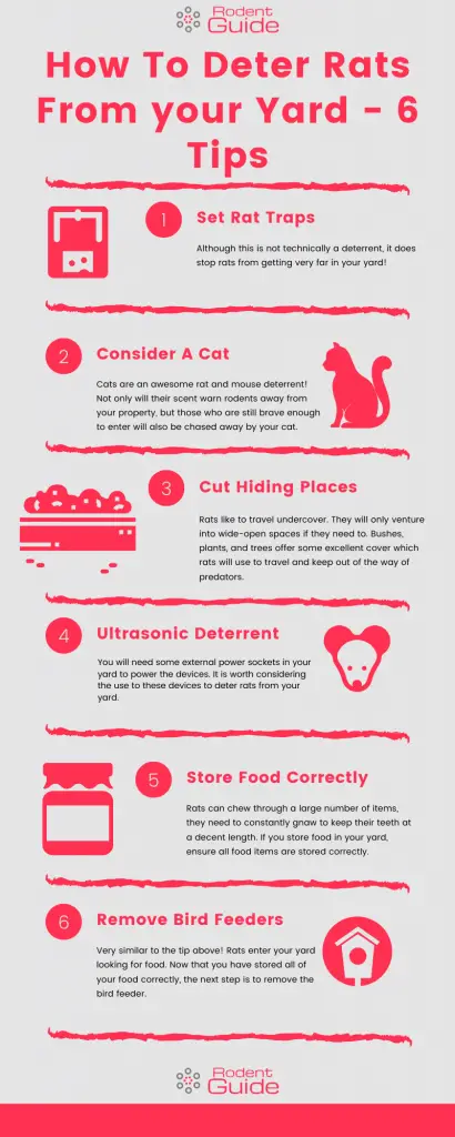 deter rats from your yard infographic