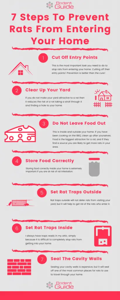 Prevent Rats from entering your home infographic