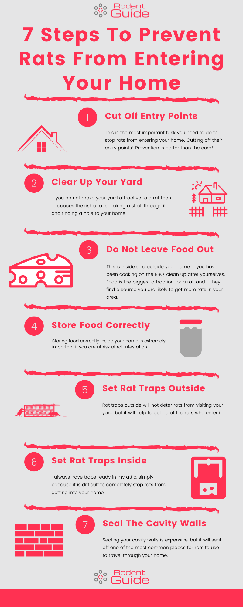 Prevent Rats from entering your home infographic