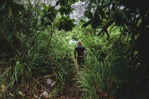 person walking in yard, forest, overgrown