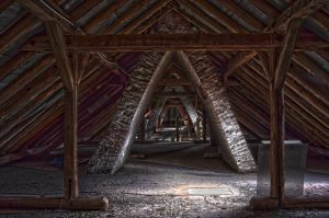 attic place to lay mouse trap