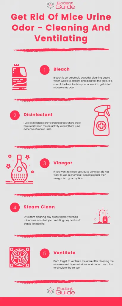 Get Rid Of Mice Urine Odor - Cleaning And Ventilating Infographic