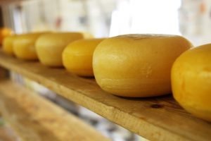 cheese on a shelf