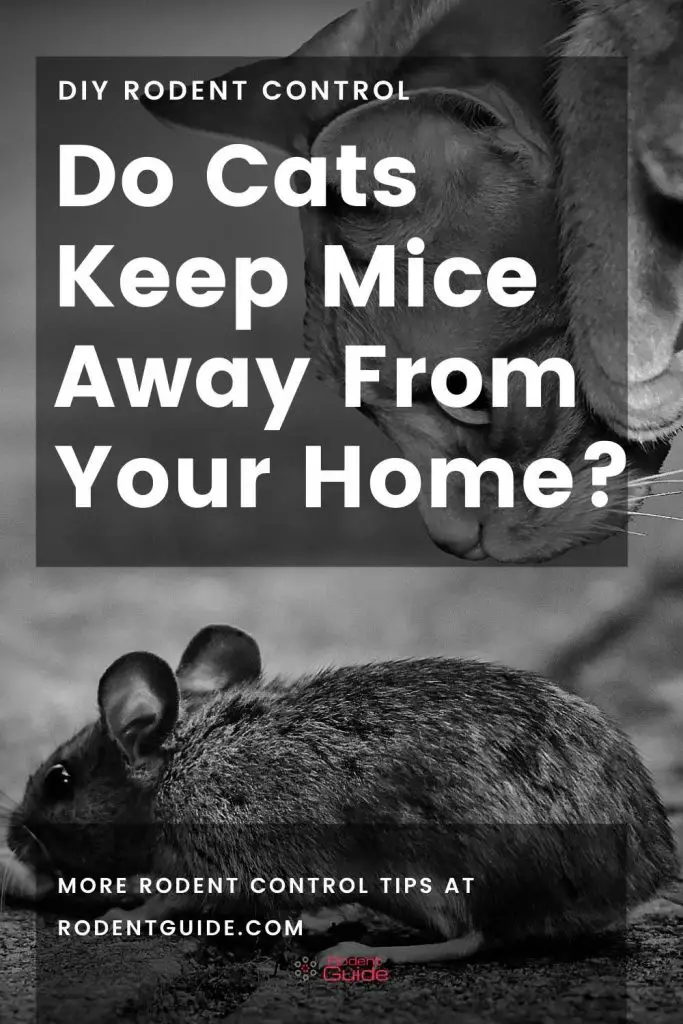 do cats keep mice away