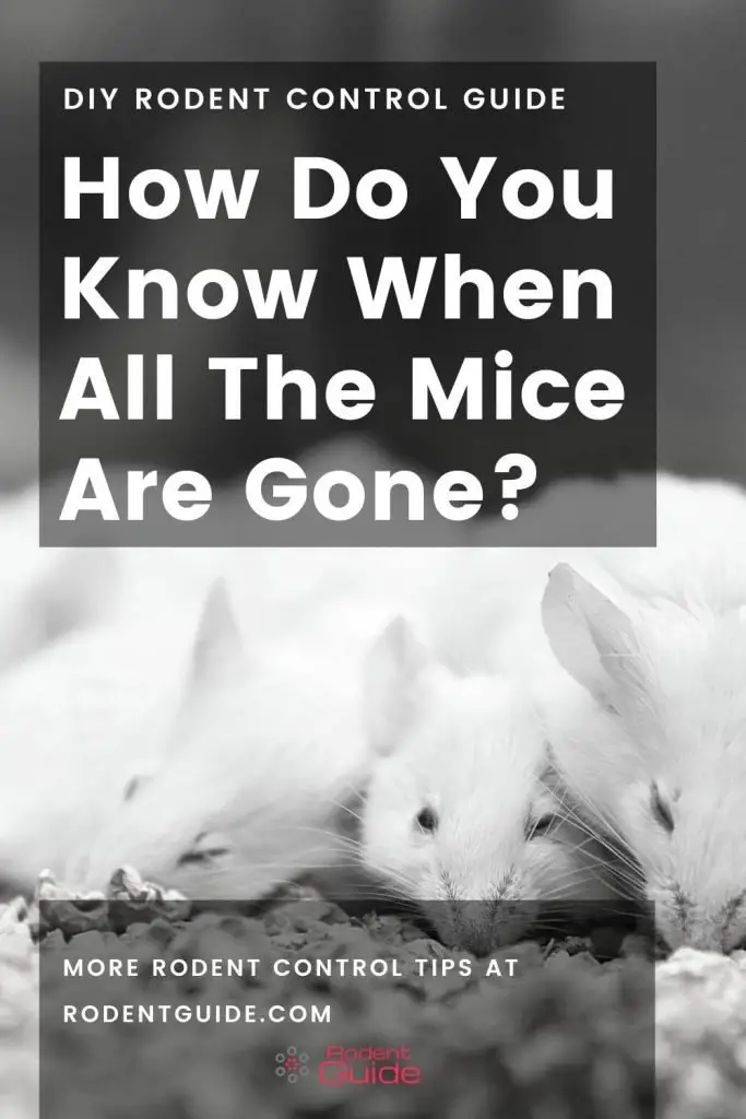 How do you now when all the mice are gone