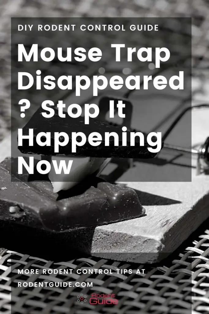 Mouse Trap Disappeared