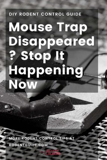 https://rodentguide.com/wp-content/uploads/2019/07/Mouse-Trap-Disappeared-1-683x1024.jpg?ezimgfmt=rs:342x513/rscb118/ngcb118/notWebP