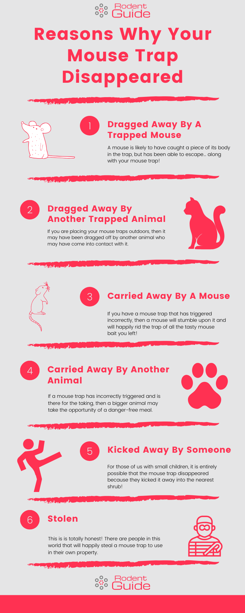 Reasons Why Your Mouse Trap Disappeared Infographic