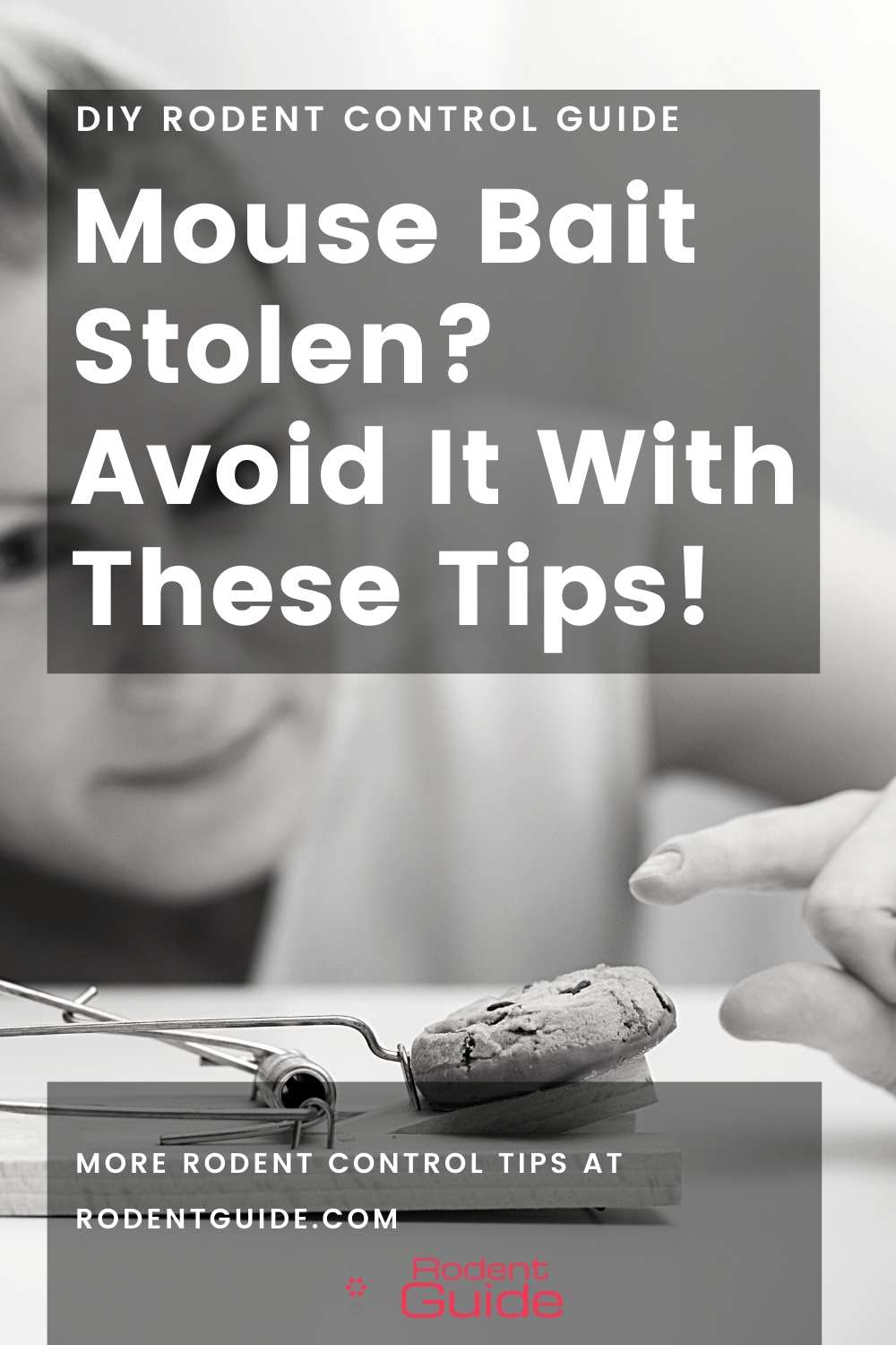 Mouse Bait Stolen? How You Can Avoid This 2 Mouse Bait Stolen all the time