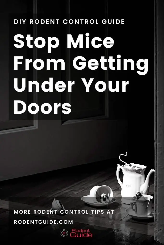 Stop Mice From Getting Under Your Doors