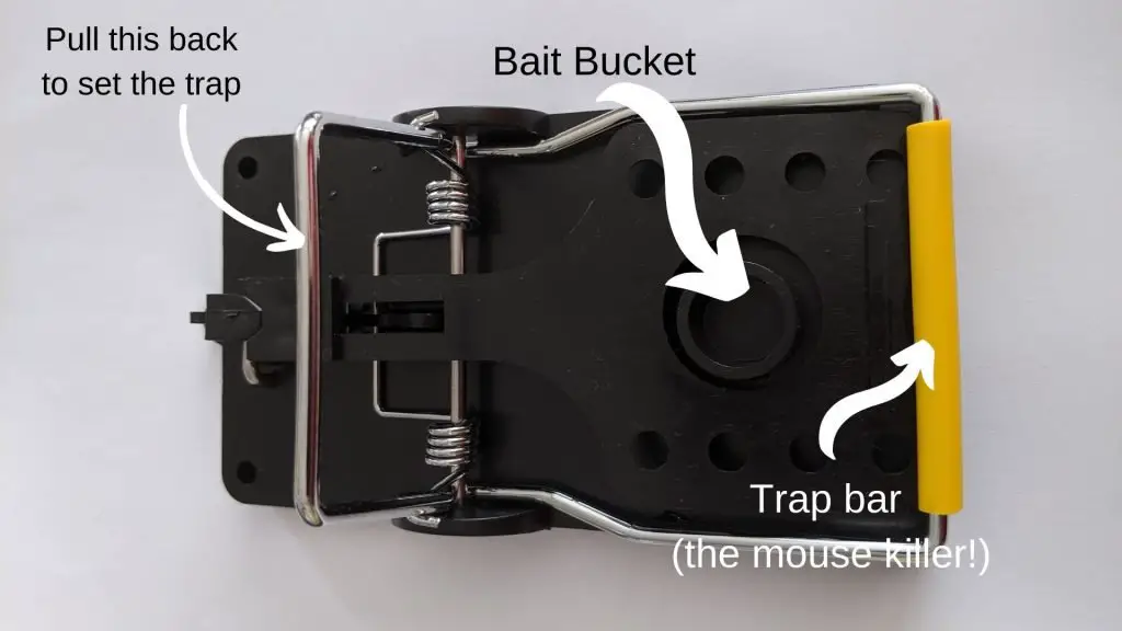 mouse trap details