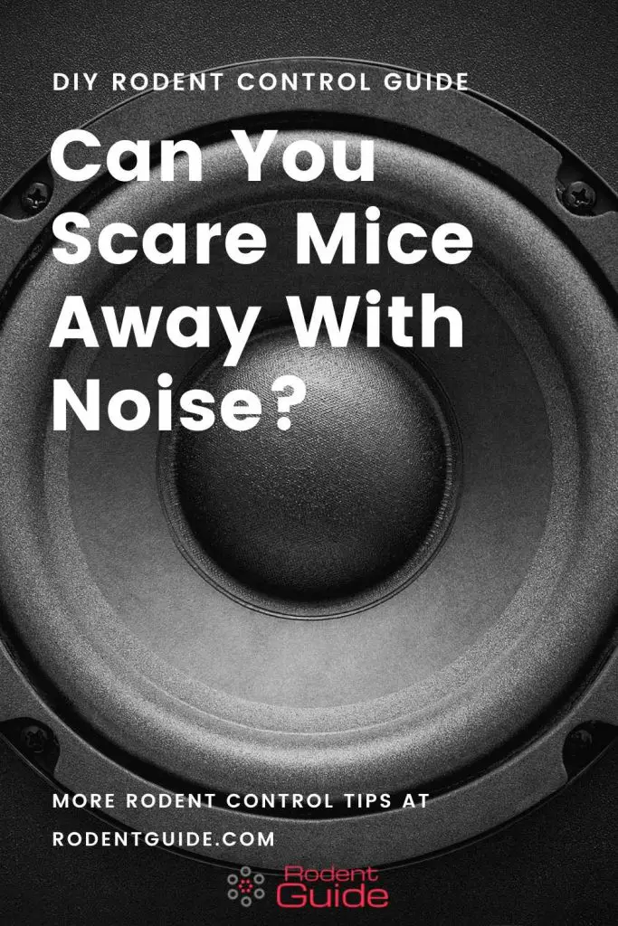 Can You Scare Mice Away With Noise_