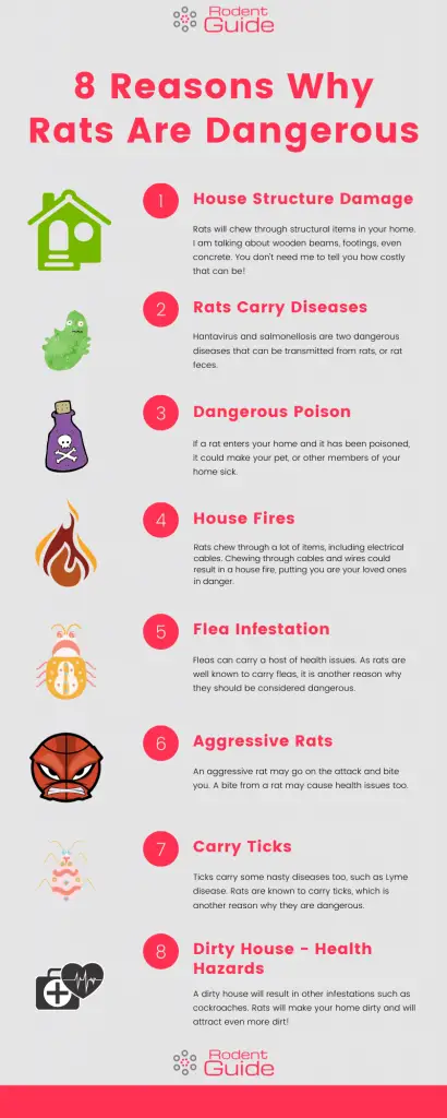 8 Reasons Why Rats Are Dangerous Infographic