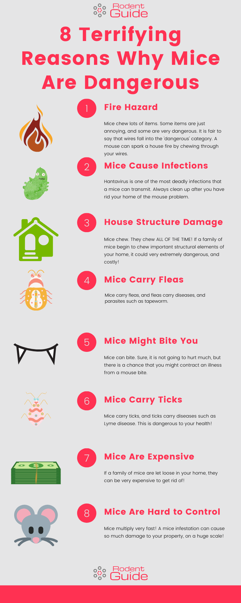8 Terrifying Reasons Why Mice Are Dangerous Infographic
