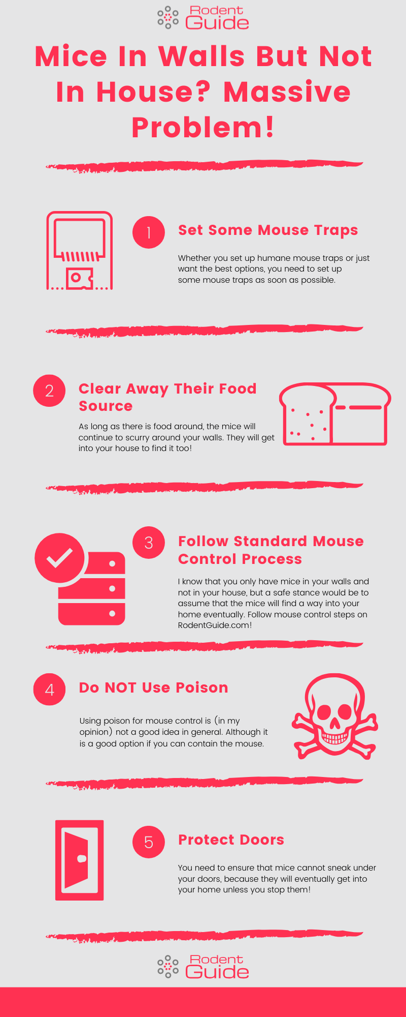 Mice In Walls But Not In House_ Massive Problem! Infographic