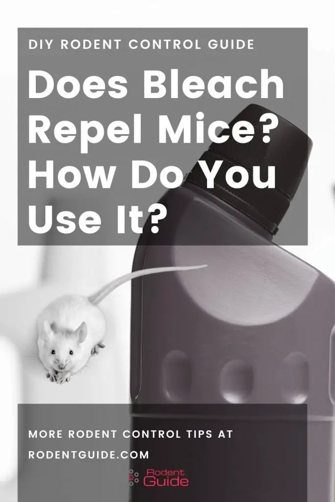 Does Bleach Repel Mice How Do You Use It