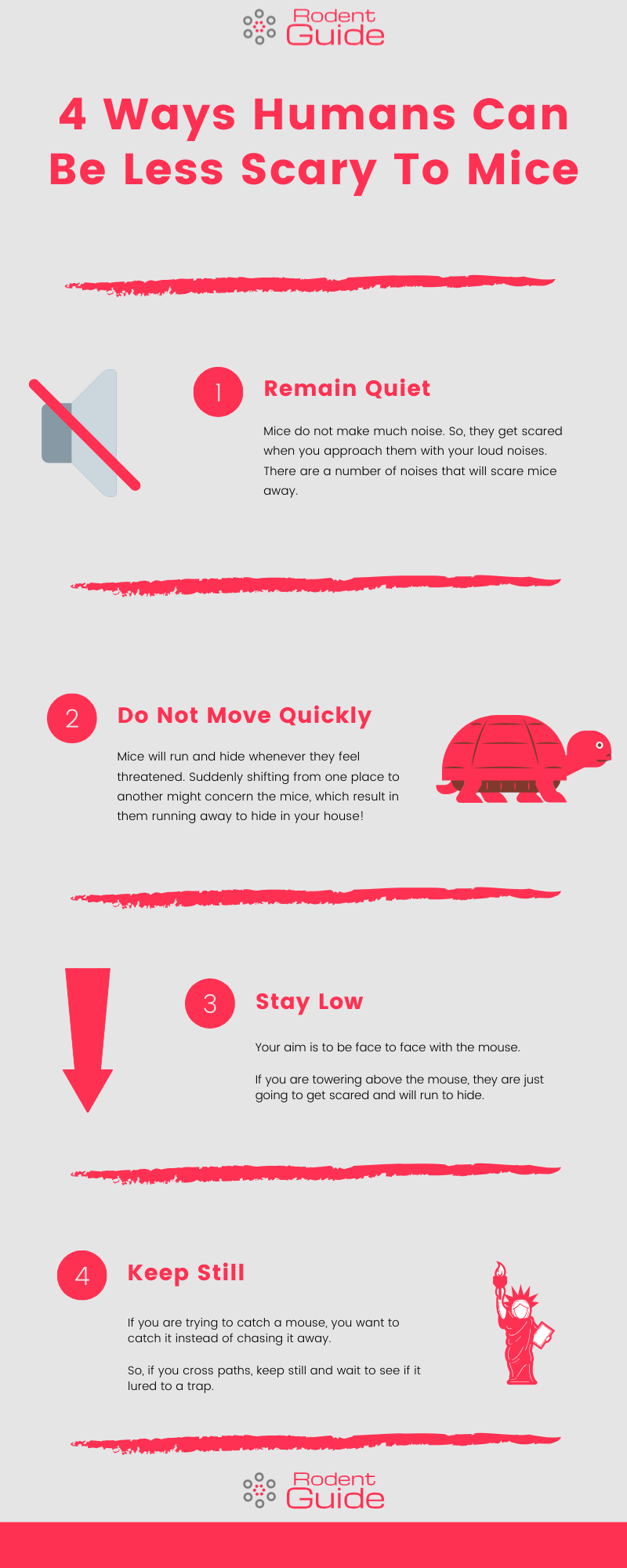 4 Ways Humans Can Be Less Scary To Mice Infographic