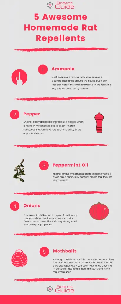 5 Awesome Homemade Rat Repellents Infographic