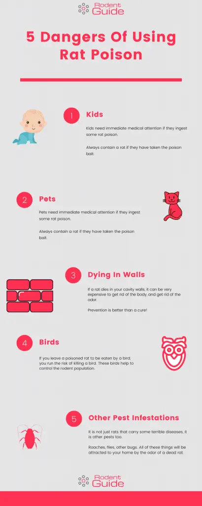 5 Dangers Of Using Rat Poison Infographic
