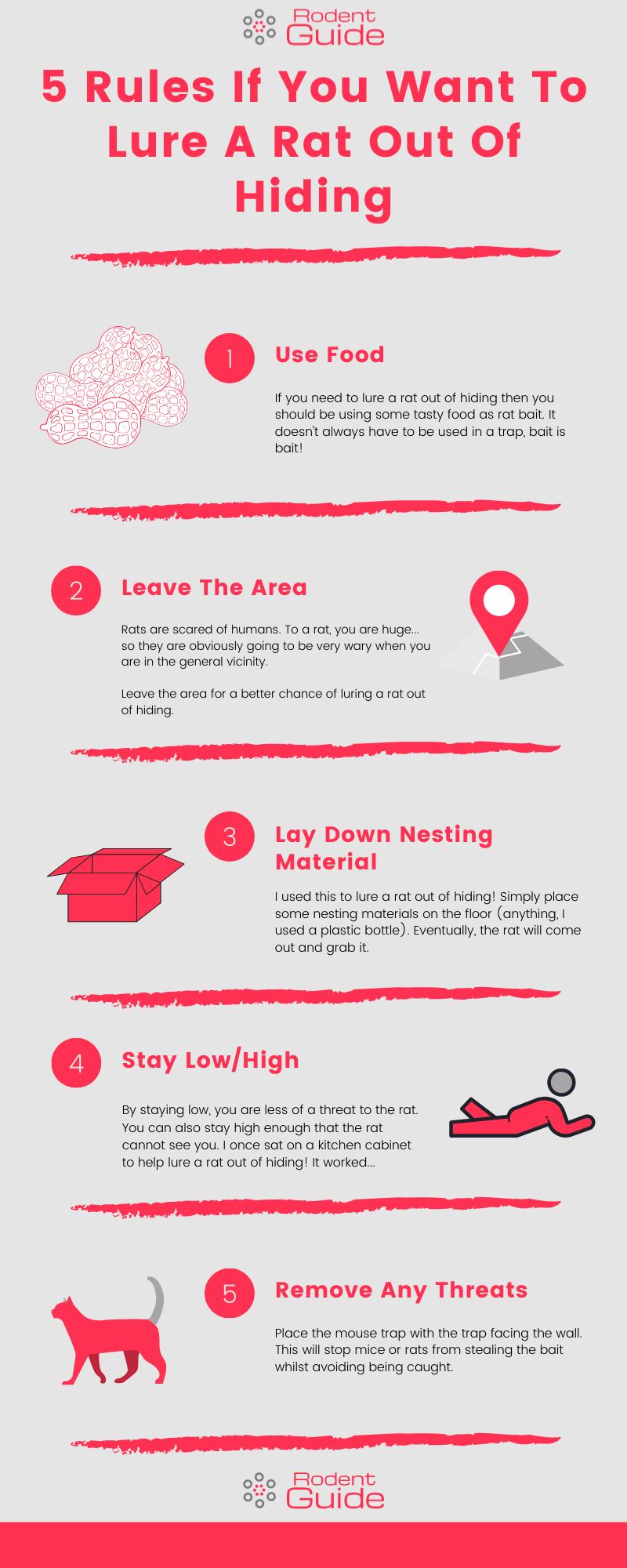 5 Rules If You Want To Lure A Rat Out Of Hiding Infographic