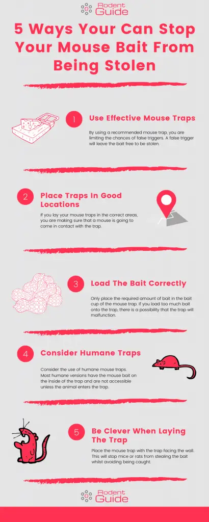 5 Ways Your Can Stop Your Mouse Bait From Being Stolen Infographic