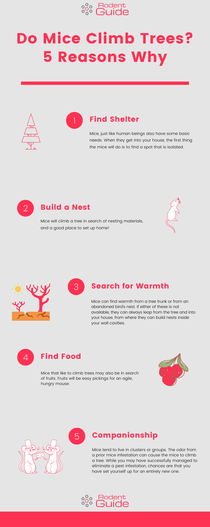 Do Mice Climb Trees_ 5 Reasons Why Infographic