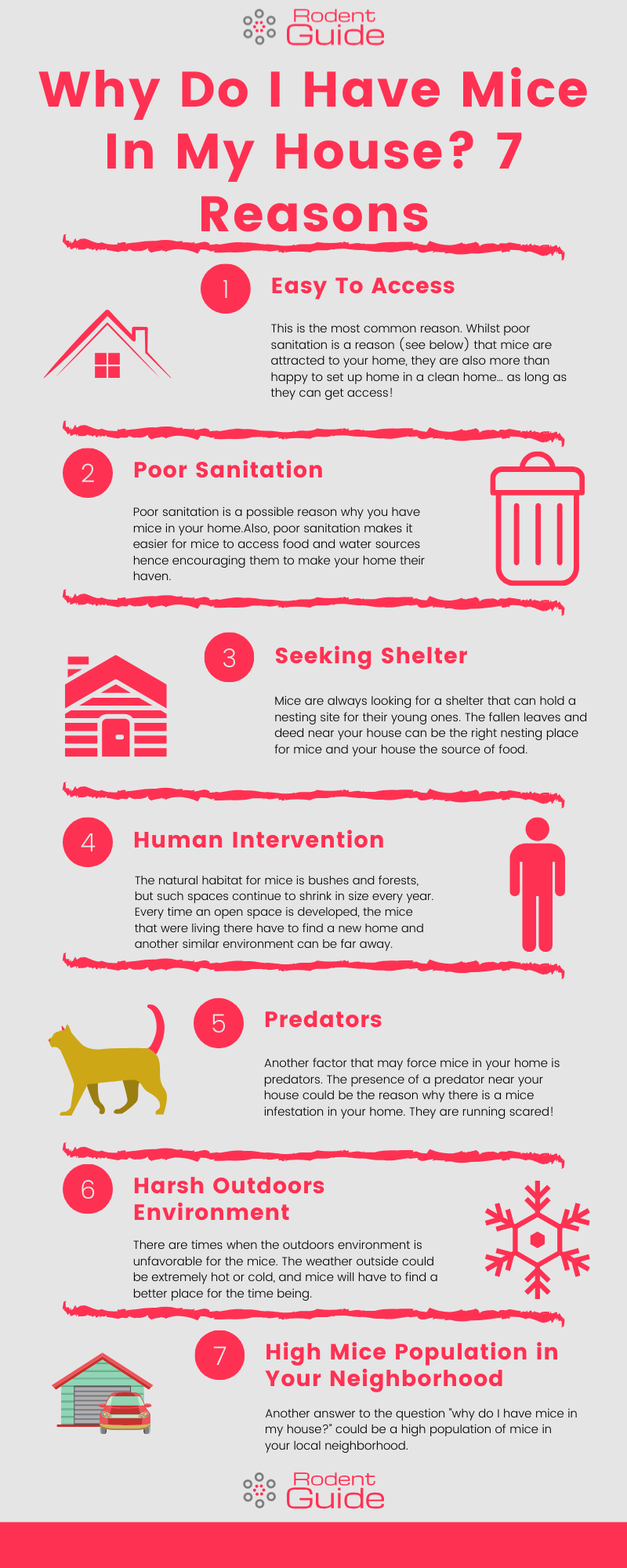 Why Do I Have Mice In My House Infographic 1
