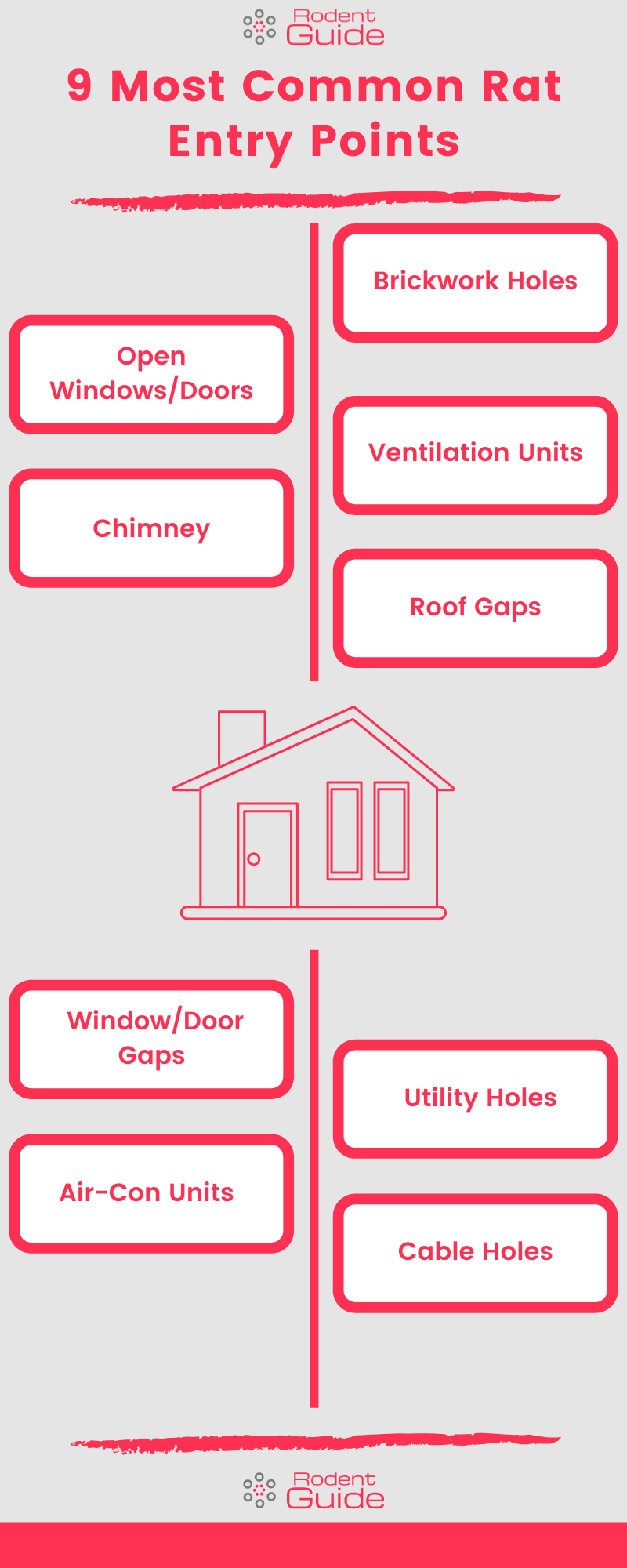 9 Most Common Rat Entry Points Infographic