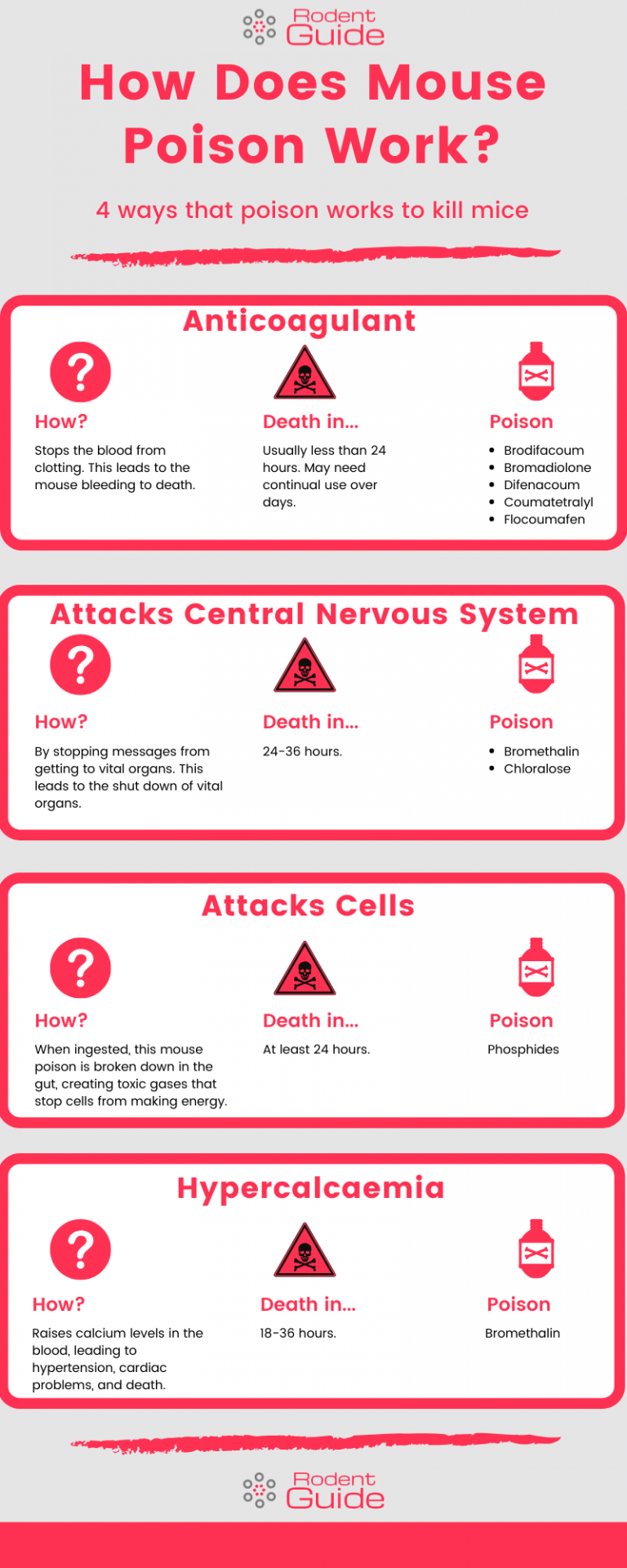 How Does Mouse Poison Work - DIY Rodent Control