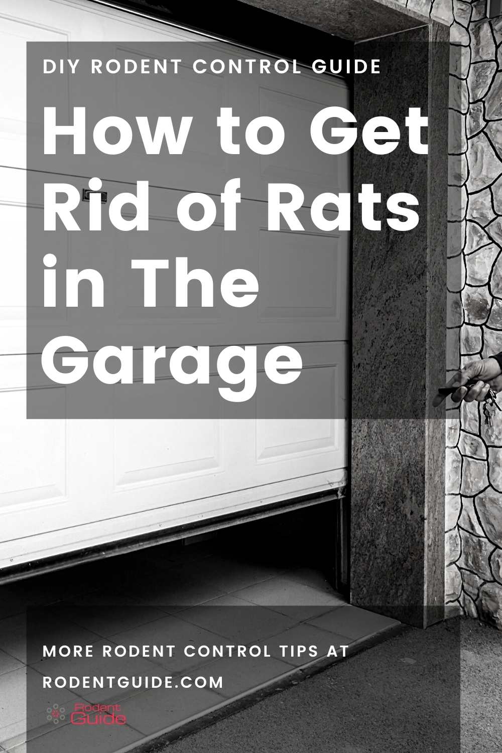 Your Guide On How To Get Rid Of Rats In The Garage 2 How to Get Rid of Rats in The Garage (1)