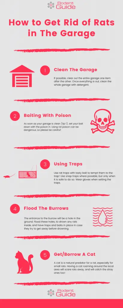 How to Get Rid of Rats in The Garage Infographic