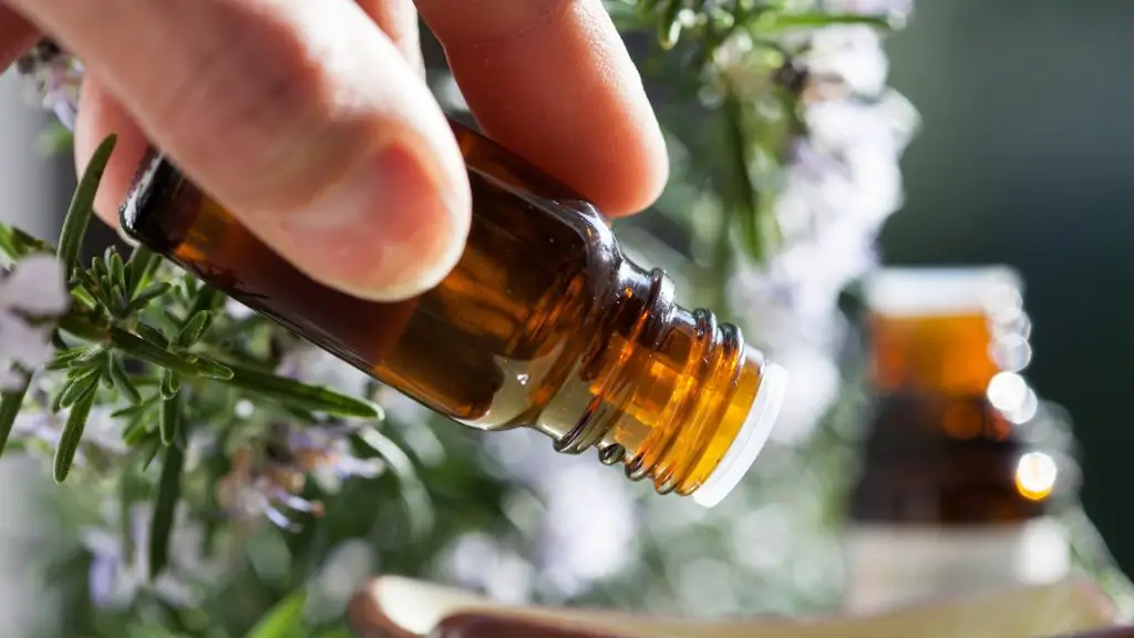 6 Scents That Will Keep Mice Away From Your Home DIY Rodent Control