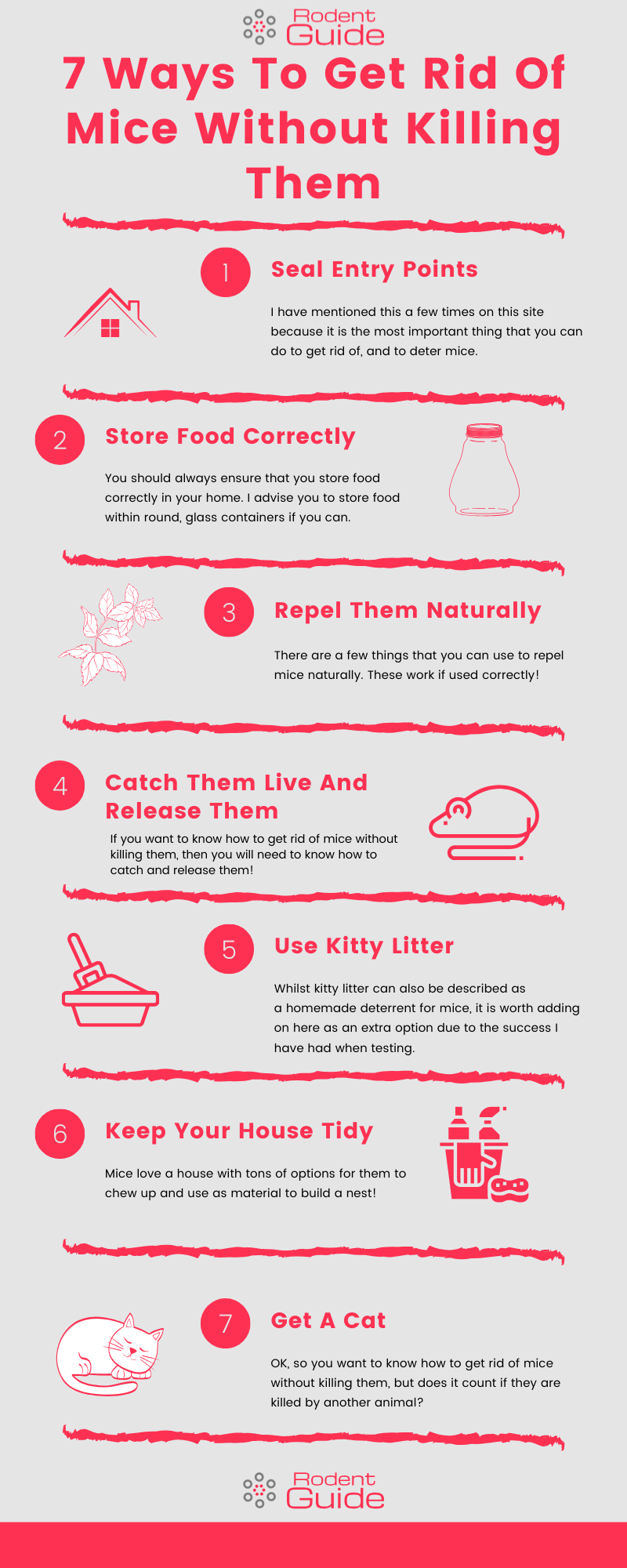 7 Ways To Get Rid Of Mice Without Killing Them