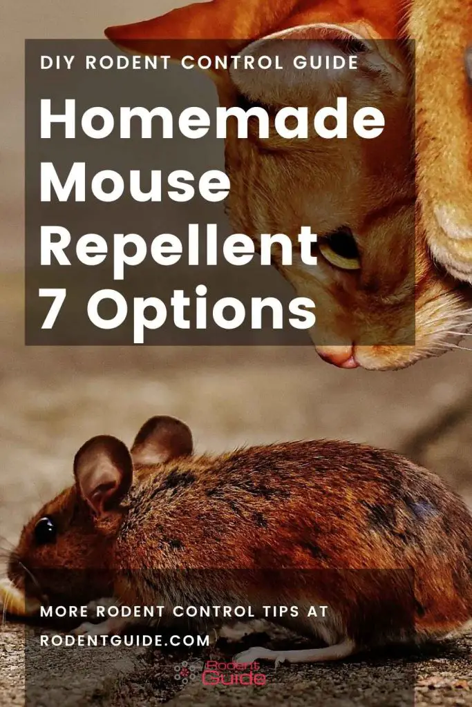 Homemade Mouse Repellent 7 options