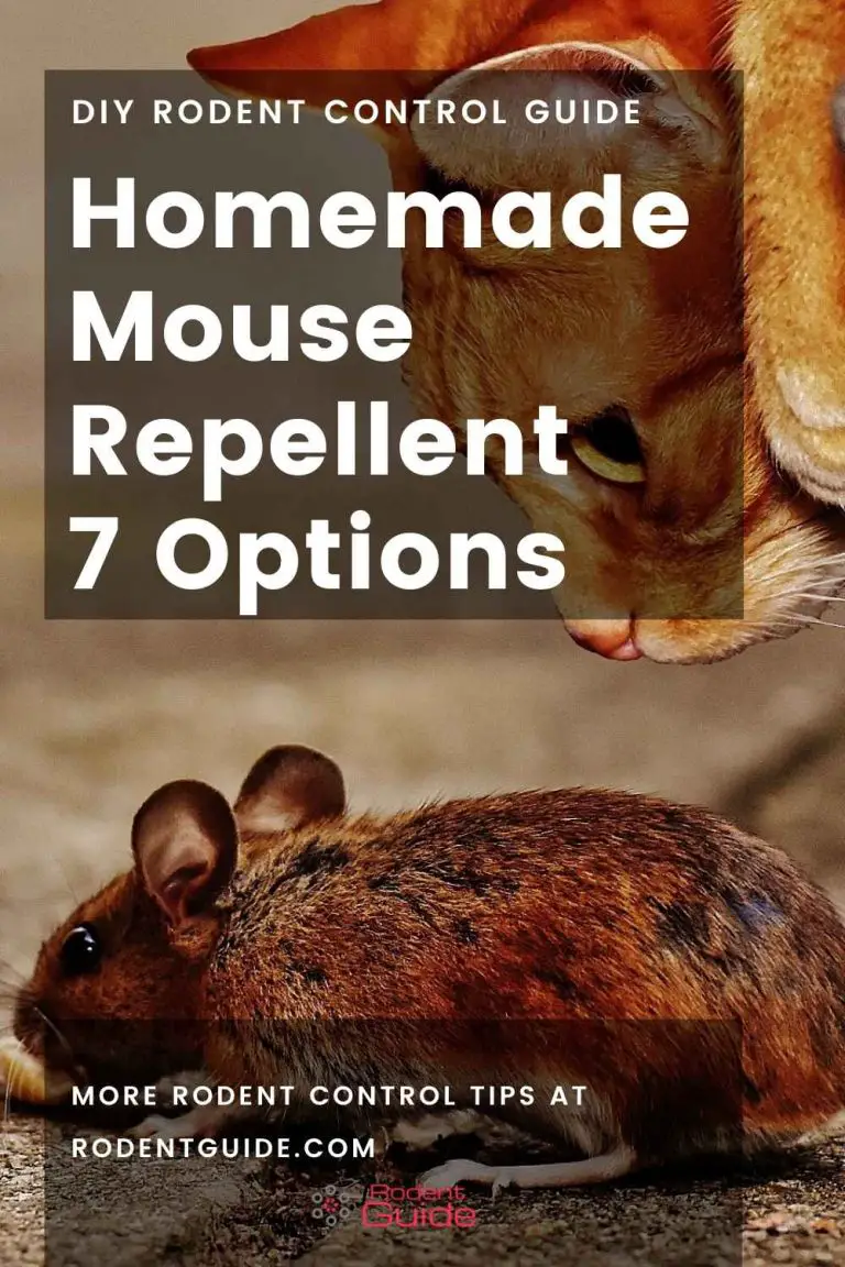 Homemade Mouse Repellent 7 Essential Options DIY Rodent Control   Homemade Mouse Repellent 7 Options 768x1152 